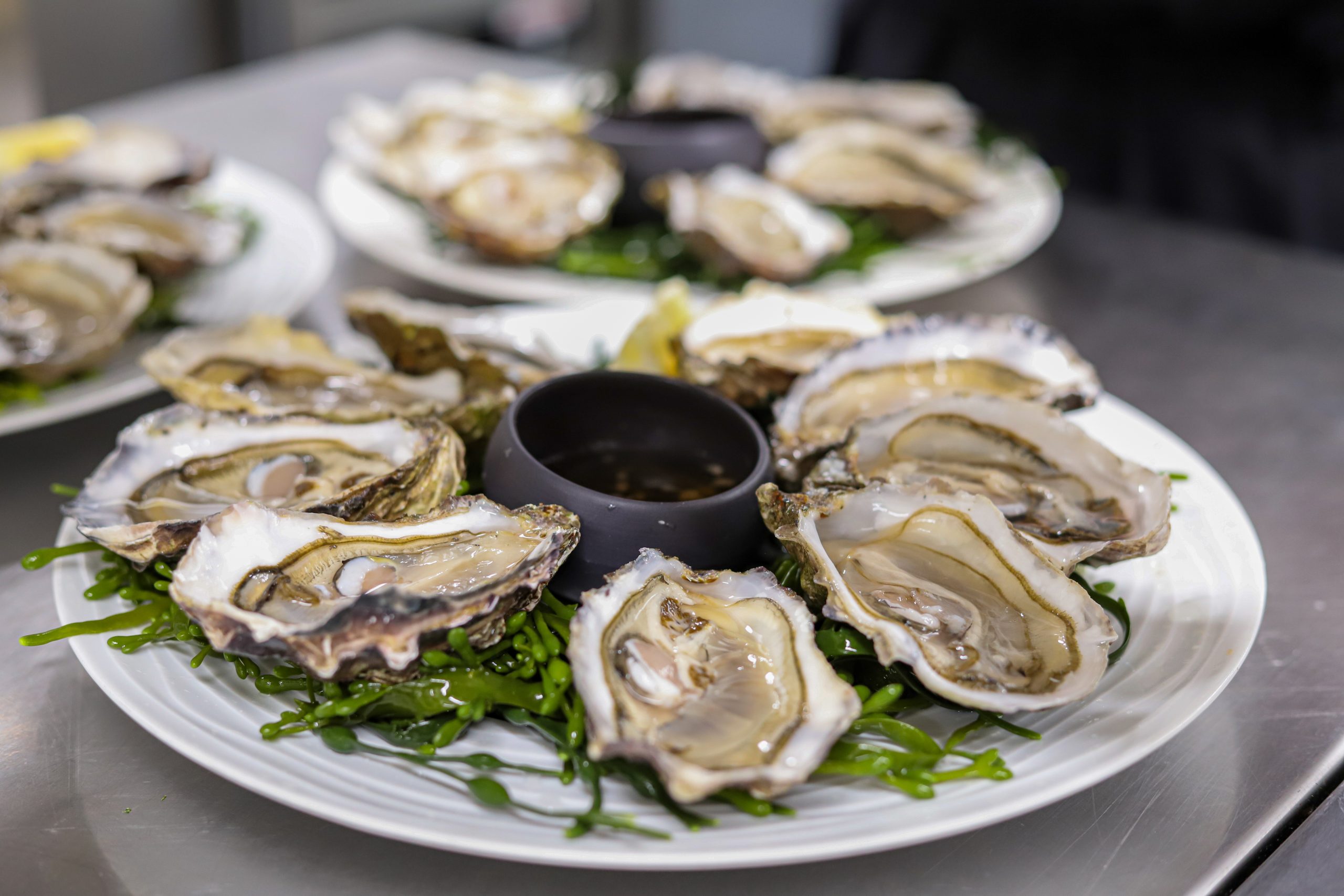 plateau d'austern - hotel restaurant finistere