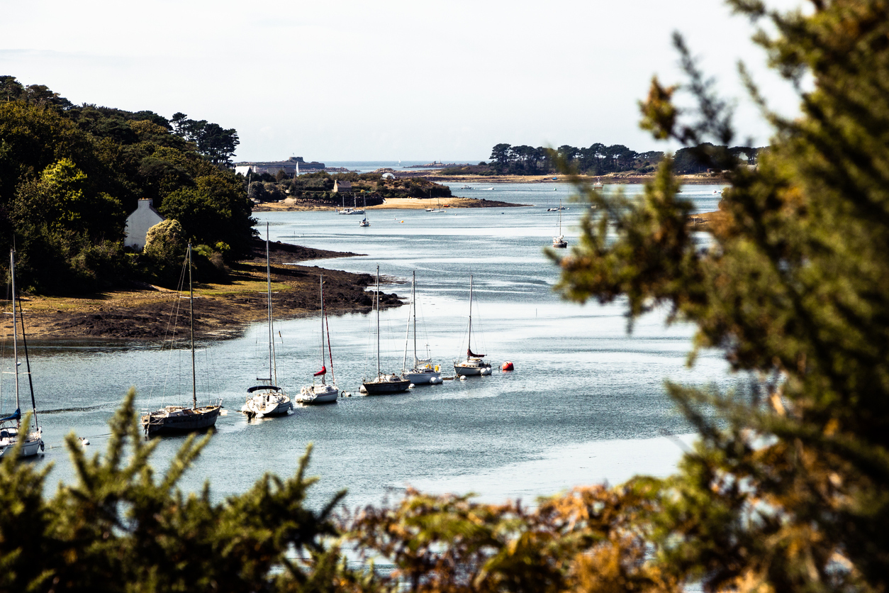 vue sur une rivière bordée d'arbres avec des voiliers amarrés - sejour en bretagne